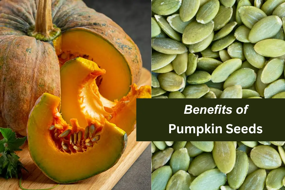 Pumpkin Seeds Benefits